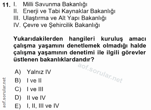 11. soru: l. Milli Savunma Bakanlığı II. Enerji ve Tabi Kaynaklar Bakanlığı III. Ulaştırma ve Alt Yapı Bakanlığı N. Çevre ve Şe…