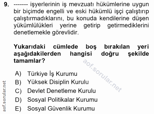 9. soru: - işyerlerinin iş mevzuatı hükümlerine uygun bir biçimde engelli ve eski hükümlü işçi çalıştırıp çalıştırmadıklarını,…