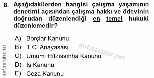 8. soru: Aşağıdakilerden hangisi çalışma yaşamının denetimi açısından çalışma hakkı ve ödevinin doğrudan düzenlendiği en l tem…