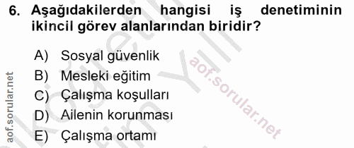 6. soru: Aşağıdakilerden hangisi iş denetiminin ikincil görev alanlarından biridir? A) Sosyal güvenlik B) Mesleki eğitim C) Ça…