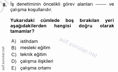 8. soru: İş denetiminin öncelikli görev alanları ve çalışma koşullarıdır. Yukarıdaki cümlede boş bırakılan yeri aşağıdakilerde…