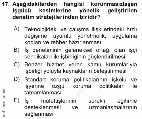 17. soru: Aşağıdakilerden hangisi korunmasızlaşan işgücü kesimlerine yönelik geliştirilen denetim stratejilerinden biridir? A)…