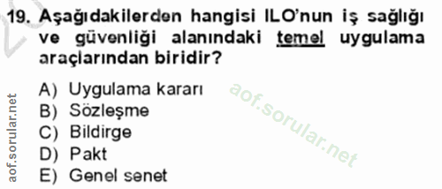 19. soru: Aşağıdakilerden hangisi ILO'nun iş sağlığı ve güvenliği alanındaki temel uygulama araçlarından biridir? A) Uygulama k…