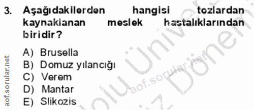 3. soru: Aşağıdakilerden hangisi tozlardan kaynaklanan meslek hastalıklarından biridir? A) Brusella B) Domuz yılancığı C) Vere…