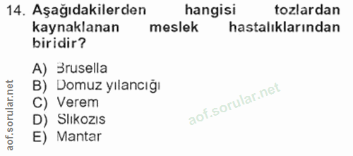 14. soru: Aşağıdakilerden hangisi tozlardan kaynaklanan meslek hastalıklarından biridir? A) Brusella B) Domuz yılancığı C) Vere…