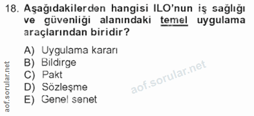 18. soru: Aşağıdakilerden hangisi ILO'nun iş sağlığı ve güvenliği alanındaki temel uygulama araçlarından biridir? A) Uygulama k…