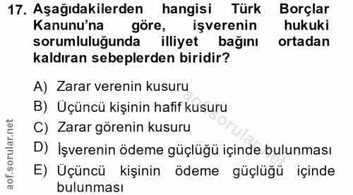 17. soru: Aşağıdakilerden hangisi Türk Borçlar Kanunu'na göre, işverenin hukuki sorumluluğunda illiyet bağını ortadan kaldıran…