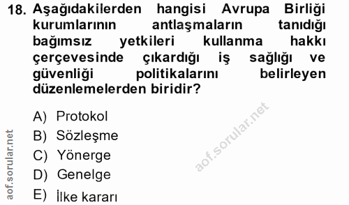 18. soru: Aşağıdakilerden hangisi Avrupa Birliği kurumlarının antlaşmaların tanıdiğı bağımsız yetkileri kullanma hakkı çerçeves…