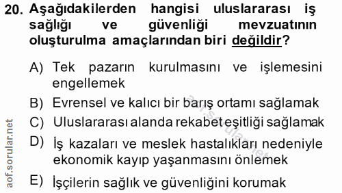 20. soru: Aşağıdakilerden hangisi uluslararası iş sağlığı ve güvenliği mevzuatının oluşturulma amaçlarından biri değildir? A) T…