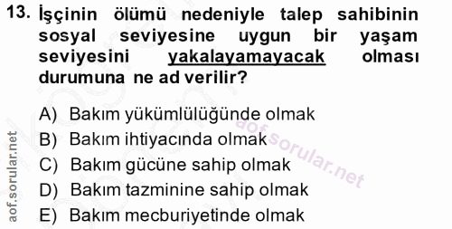 13. soru: İşçinin ölümü nedeniyle talep sahibinin sosyal seviyesine uygun bir yaşam seviyesini yakalayamayacak olması durumuna…