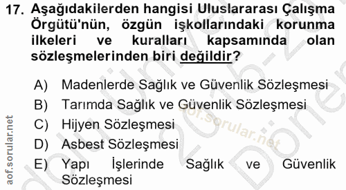 17. soru: Aşağıdakilerden hangisi Uluslararası Çalışma Örgütü'nün, özgün işkollarındaki korunma ilkeleri ve kuralları kapsamınd…