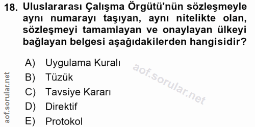 18. soru: Uluslararası Çalışma Örgütü'nün sözleşmeyle aynı numarayı taşıyan, aynı nitelikte olan, sözleşmeyi tamamlayan ve onay…