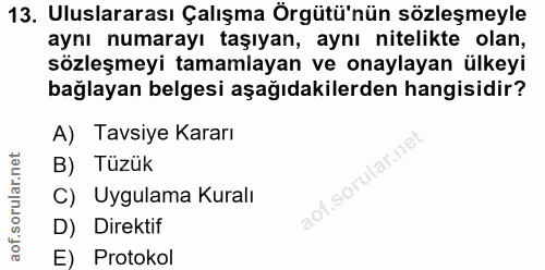 13. soru: Uluslararası Çalışma Örgütü'nün sözleşmeyle aynı numarayı taşıyan, aynı nitelikte olan, sözleşmeyi tamamlayan ve onay…