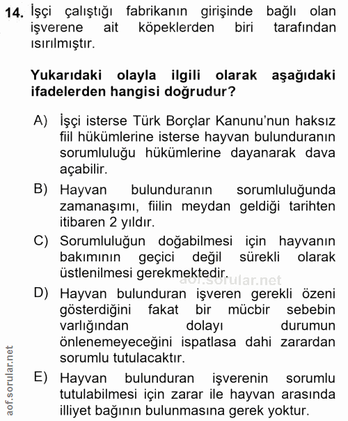 14. soru: İşçi çalıştığı fabrikanın girişinde bağlı olan işverene ait köpeklerden biri tarafından isırılmıştır. Yukarıdaki olay…