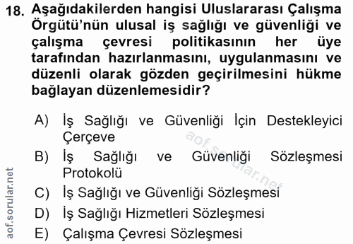 18. soru: Aşağıdakilerden hangisi Uluslararası Çalışma Örgütü'nün ulusal iş sağlığı ve güvenliği ve çalışma çevresi politikasın…