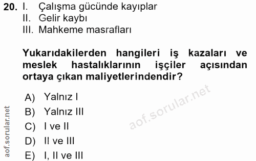 20. soru: I. Çalışma gücünde kayıplar Il. Gelir kaybı III. Mahkeme masrafları Yukarıdakilerden hangileri iş kazaları ve meslek…