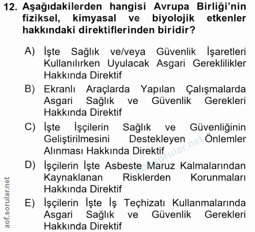 12. soru: Aşağıdakilerden hangisi Avrupa Birliği'nin fiziksel, kimyasal ve biyolojik etkenler hakkındaki direktiflerinden birid…