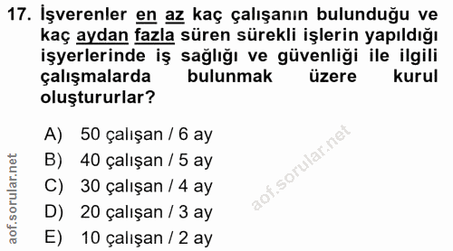 17. soru: İşverenler en az kaç çalışanın bulunduğu ve kaç aydan fazla süren sürekli işlerin yapıldığı işyerlerinde iş sağlığı v…