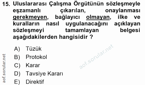 15. soru: Uluslararası Çalışma Örgütünün sözleşmeyle eşzamanlı çıkarılan, onaylanması gerekmeyen, bağlayıcı olmayan, ilke ve ku…