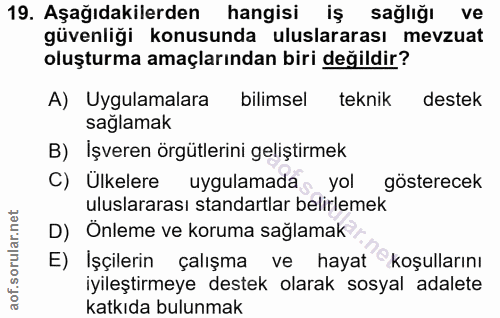 19. soru: Aşağıdakilerden hangisi iş sağlığı ve güvenliği konusunda uluslararası mevzuat oluşturma amaçlarından biri değildir?…