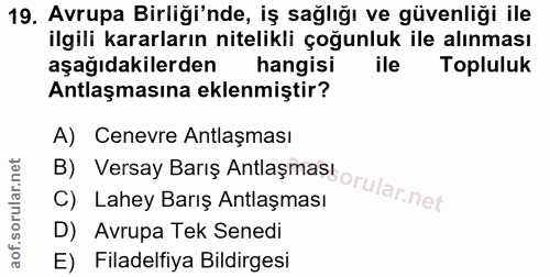 19. soru: Avrupa Birliği'nde, iş sağlığı ve güvenliği ile ilgili kararların nitelikli çoğunluk ile alınması aşağıdakilerden han…