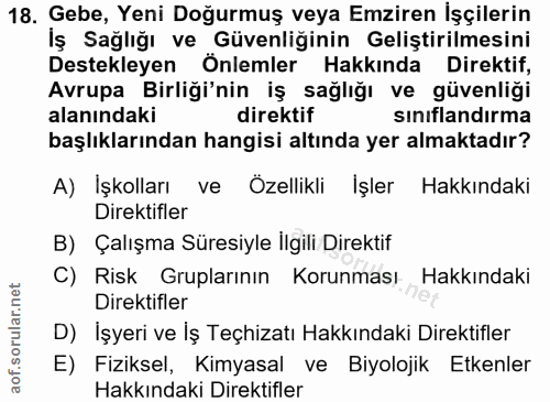 18. soru: Gebe, Yeni Doğurmuş veya Emziren İşçilerin Iş Sağlığı ve Güvenliğinin Geliştirilmesini Destekleyen Önlemler Hakkında…