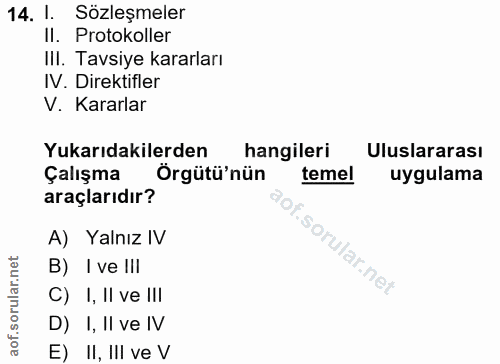 14. soru: 1. Sözleşmeler Il. Protokoller IlI. Tavsiye kararları IV. Direktifler V. Kararlar Yukarıdakilerden hangileri Uluslara…