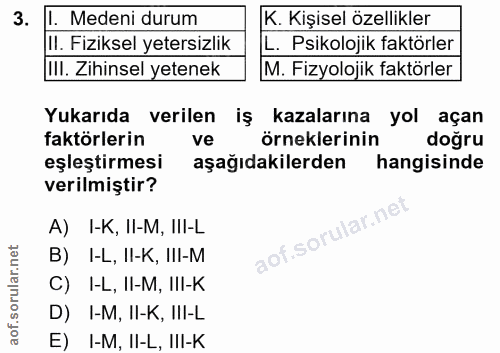 3. soru: I. Medeni durum K. Kişisel özellikler Il. Fiziksel yetersizlik L. Psikolojik faktörler [WI. Zihinsel yetenek M. Fizyo…