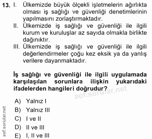 13. soru: I. Ulkemizde büyük ölçekli işletmelerin ağırlıkta olması iş sağlığı ve güvenliği denetimlerinin yapılmasını zorlaştır…
