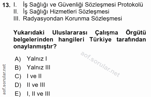 13. soru: I. İş Sağlığı ve Güvenliği Sözleşmesi Protokolü II. İş Sağlığı Hizmetleri Sözleşmesi III. Radyasyondan Korunma Sözleş…