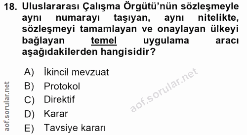 18. soru: Uluslararası Çalışma Örgütü'nün sözleşmeyle aynı numarayı taşıyan, aynı nitelikte, sözleşmeyi tamamlayan ve onaylayan…