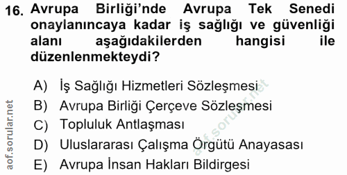 16. soru: Avrupa Birliği'nde Avrupa Tek Senedi onaylanıncaya kadar iş sağlığı ve güvenliği alanı aşağıdakilerden hangisi ile dü…