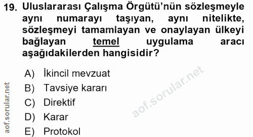 19. soru: Uluslararası Çalışma Örgütü'nün sözleşmeyle aynı numarayı taşıyan, aynı nitelikte, sözleşmeyi tamamlayan ve onaylayan…