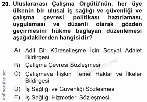 20. soru: Uluslararası Çalışma Örgütü'nün, her üye ülkenin bir ulusal iş sağlığı ve güvenliği ve çalışma çevresi politikası haz…