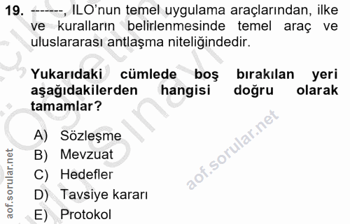 19. soru: , ILO'nun temel uygulama araçlarından, ilke ve kuralların belirlenmesinde temel araç ve uluslararası antlaşma niteliğ…