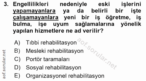3. soru: Engellilikleri nedeniyle eski işlerini yapamayanlara ya da belirli bir işte çalışamayanlara yeni bir iş öğretme, iş b…