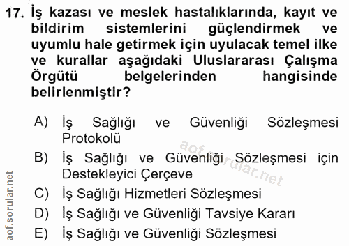 17. soru: İş kazası ve meslek hastalıklarında, kayıt ve bildirim sistemlerini güçlendirmek uyumlu hale getirmek için uyulacak t…