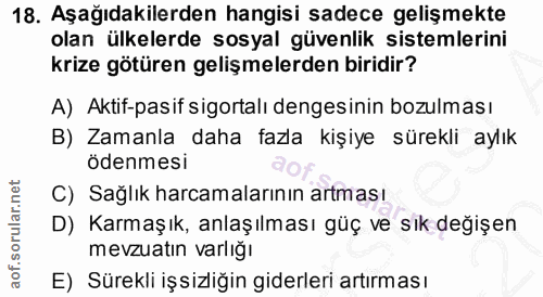 18. soru: Aşağıdakilerden hangisi sadece gelişmekte olan ülkelerde sosyal güvenlik sistemlerini krize götüren gelişmelerden bir…