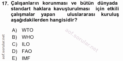 17. soru: Çalışanların korunması ve bütün dünyada standart haklara kavuşturulması için etkili çalışmalar yapan uluslararası kur…