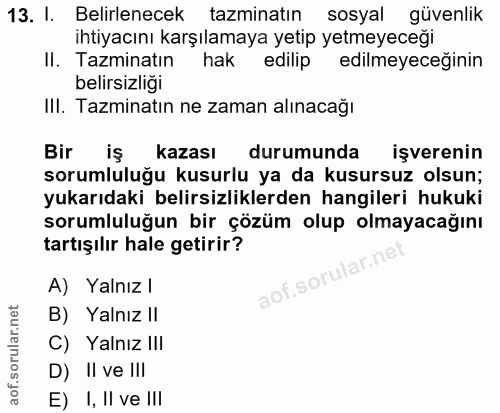 13. soru: I. Belirlenecek tazminatın sosyal güvenlik ihtiyacını karşılamaya yetip yetmeyeceği II. Tazminatın hak edilip edilmey…