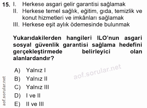 15. soru: l. Herkese asgari gelir garantisi sağlamak II. Herkese temel sağlık, egitim, gıda, temizlik ve konut hizmetleri ve im…
