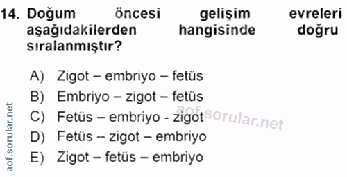 14. soru: Doğum öncesi gelişim evreleri aşağıdakilerden hangisinde doğru sıralanmıştır? A) Zigot - embriyo - fetüs B) Embriyo -…