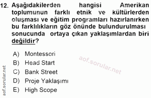 12. soru: Aşağıdakilerden hangisi Amerikan toplumunun farklı etnik ve kültürlerden oluşması ve eğitim programları hazırlanırken…