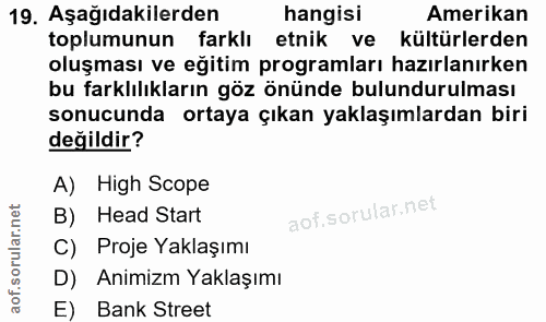 19. soru: Aşağıdakilerden hangisi Amerikan toplumunun farklı etnik ve kültürlerden oluşması ve eğitim programları hazırlanırken…