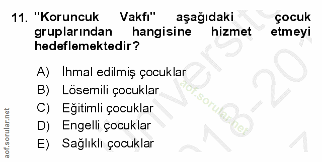 11. soru: "Koruncuk Vakfi" aşağıdaki çocuk gruplarından hangisine hizmet etmeyi hedeflemektedir? A) Ihmal edilmiş çocuklar B) L…