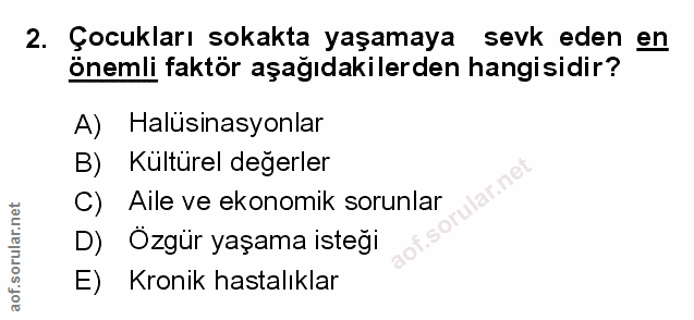 2. soru: Çocukları sokakta yaşamaya sevk eden en önemli faktör aşağıdakilerden hangisidir? A) Halüsinasyonlar B) Kültürel değe…