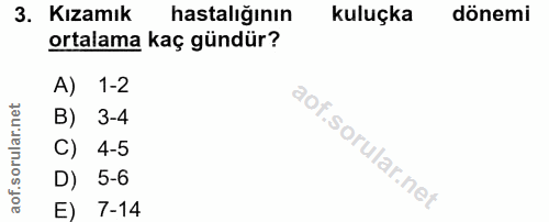 3. soru: Kızamık hastalığının kuluçka dönemi ortalama kaç gündür? A) 1-2 B) 3-4 C) 4-5 D) 5-6 E) 7-14