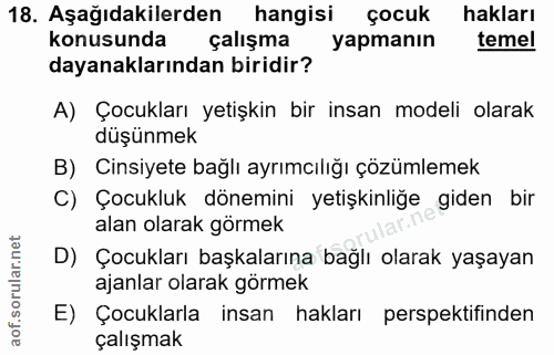 18. soru: Aşağıdakilerden hangisi çocuk hakları konusunda çalışma l yapmanın temel dayanaklarından biridir? A) Çocukları yetişk…