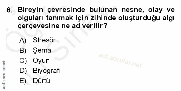 6. soru: Bireyin çevresinde bulunan nesne, olay ve olguları tanımak için zihinde oluşturduğu algı çerçevesine ne ad verilir? A…