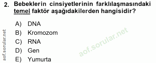 2. soru: Bebeklerin cinsiyetlerinin farklılaşmasındaki temel faktör aşağıdakilerden hangisidir? A) DNA B) Kromozom C) RNA D) G…